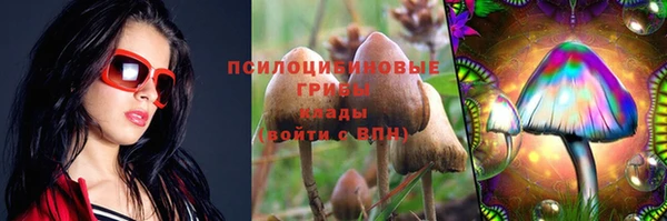 винт Бородино