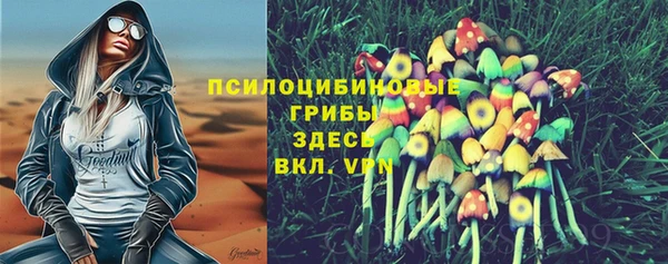 тгк Бронницы