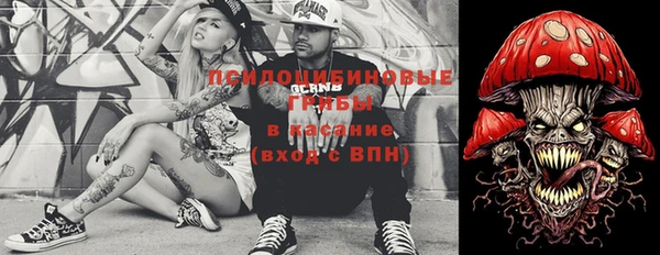 тгк Бронницы