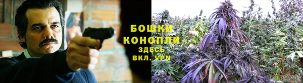 винт Бородино